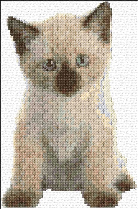 Kitten free cross-stitch pattern