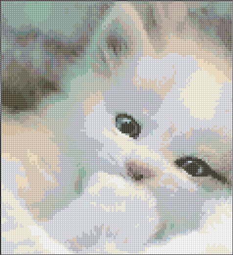 Kitten free cross-stitch pattern