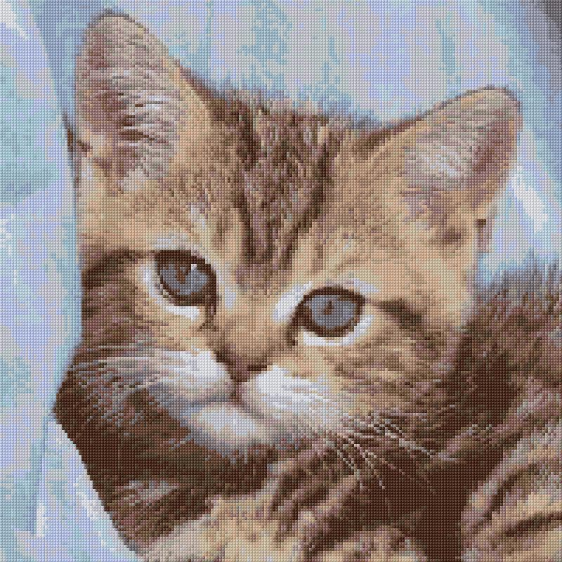 Kitten free cross-stitch pattern