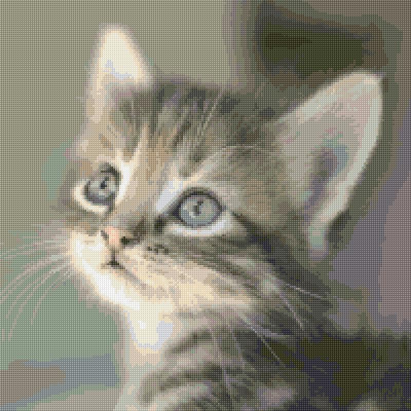 Kitten free cross-stitch pattern