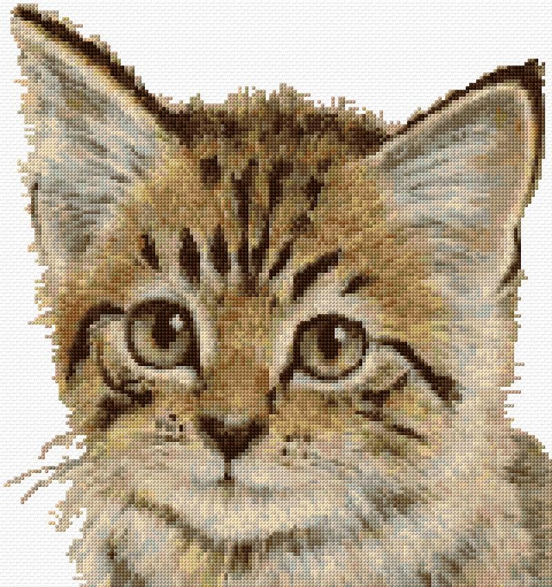 Kitten free cross-stitch pattern