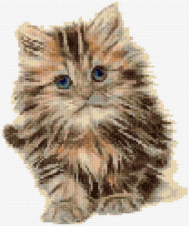 Kitten free cross-stitch pattern