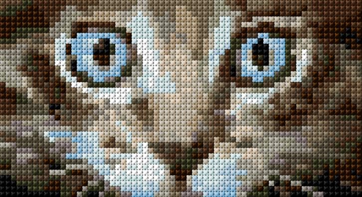Cat's Eyes free cross-stitch pattern
