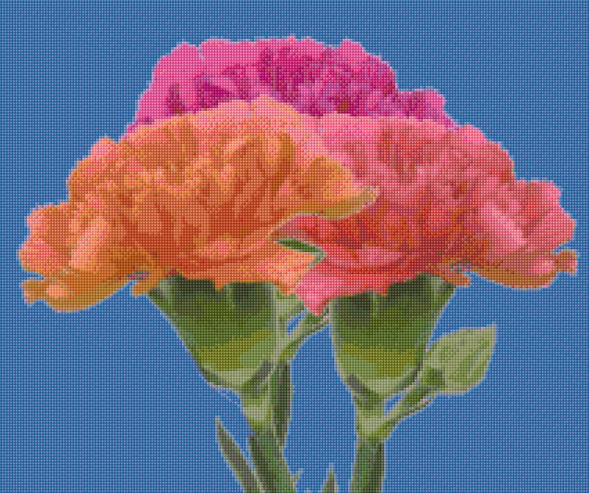 Carnations free cross-stitch pattern