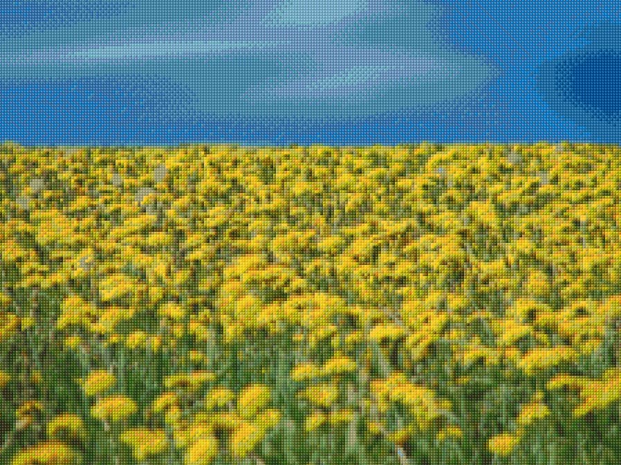 Dandelions free cross-stitch pattern