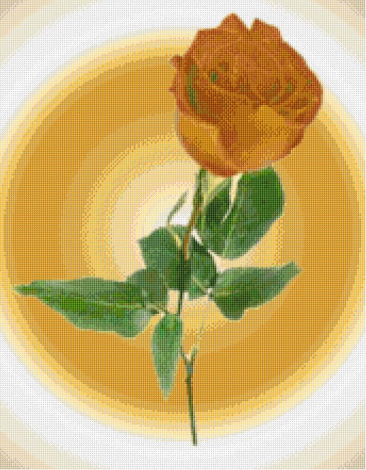 Elegant Rose free cross-stitch pattern