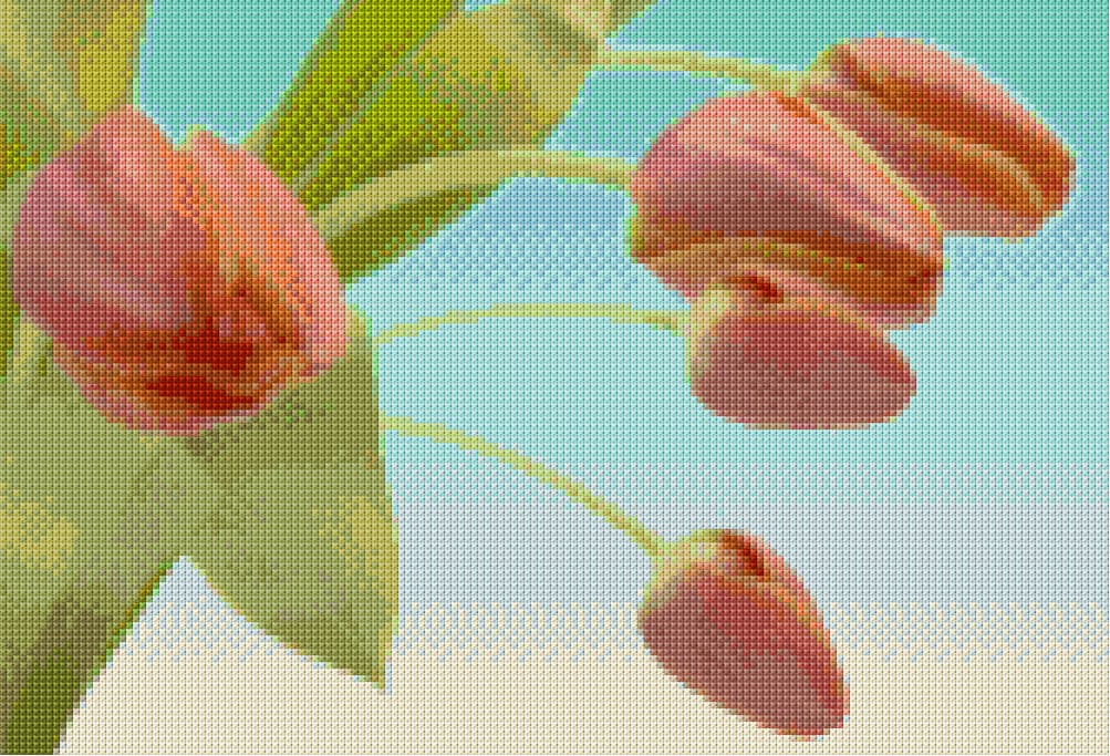 Red Tulips free cross-stitch pattern