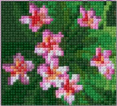 Frangipani free cross-stitch pattern