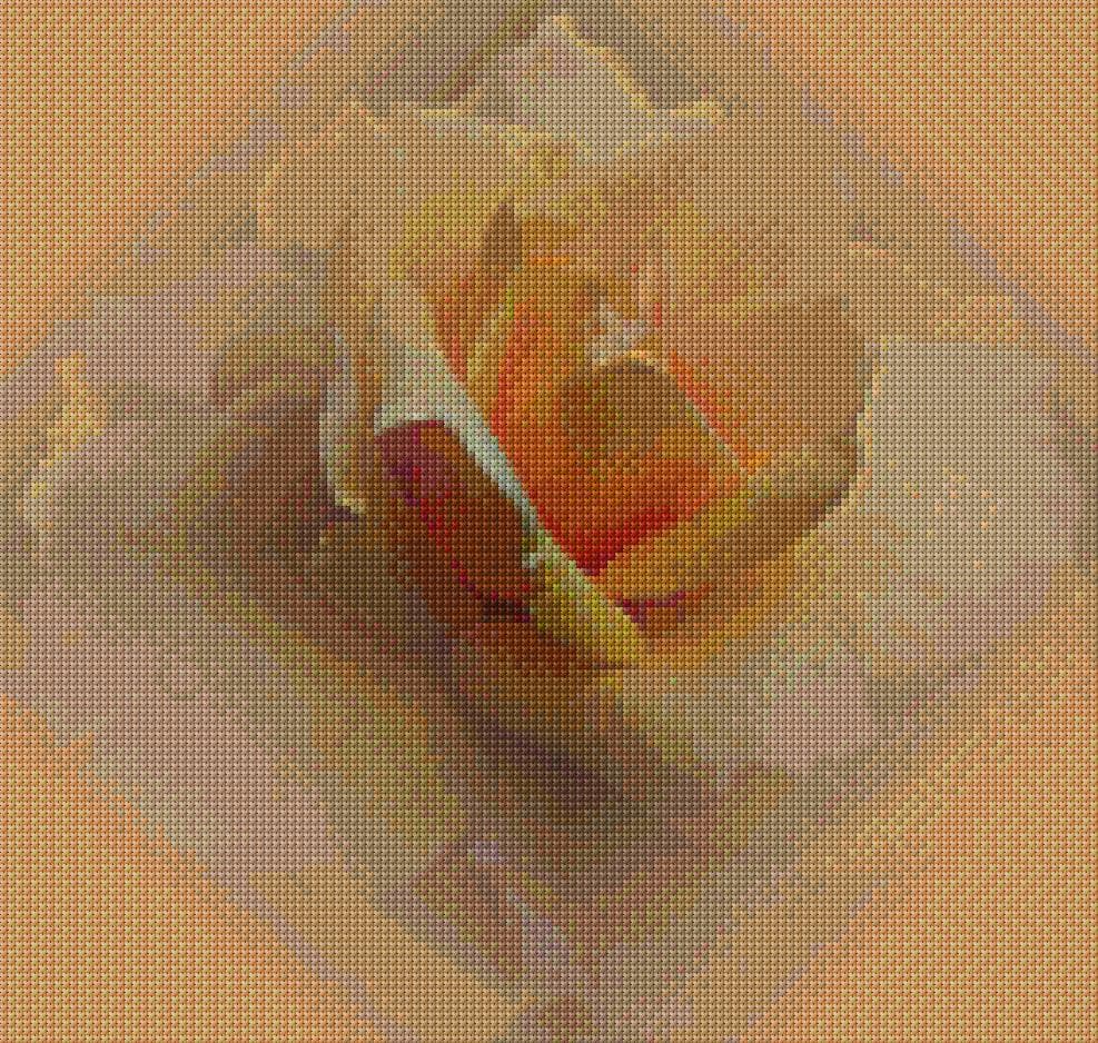 Peach Rose free cross-stitch pattern