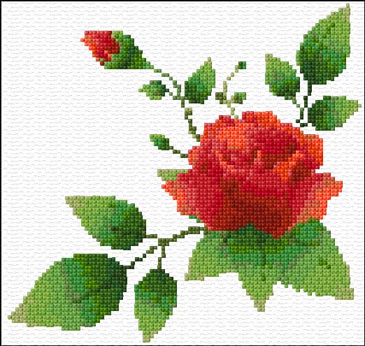 Rose Corner free cross-stitch pattern