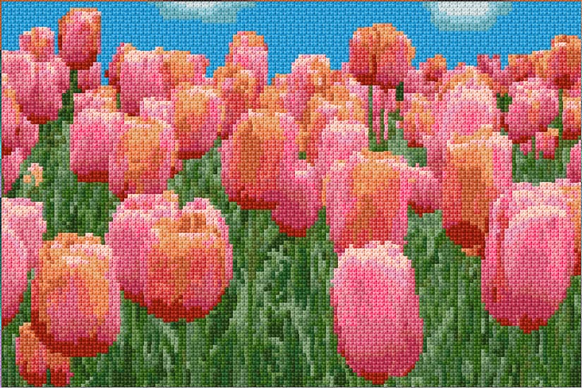 Tulips free cross-stitch pattern