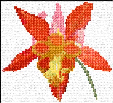 Colombine Flower free cross-stitch pattern