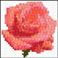 Rose free cross-stitch pattern
