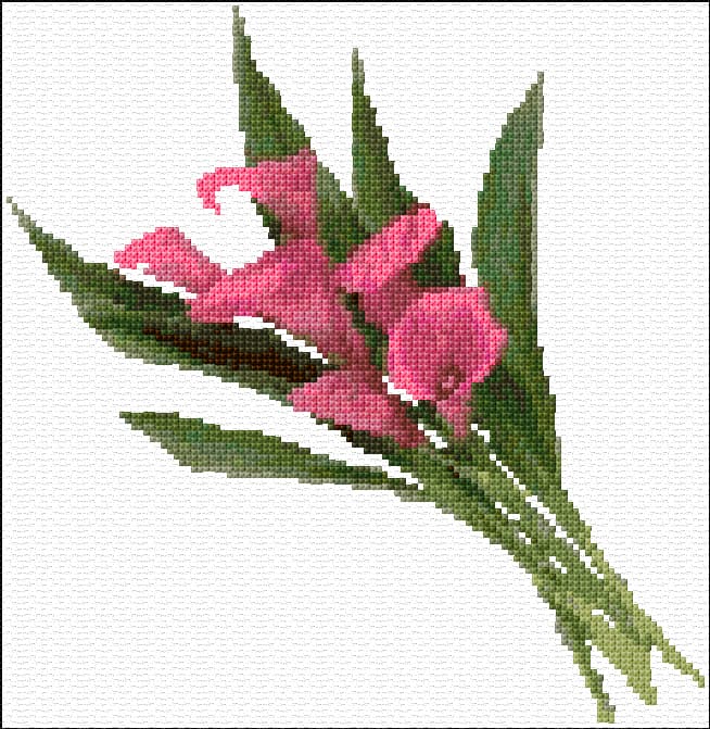 Calla Lilies free cross-stitch pattern
