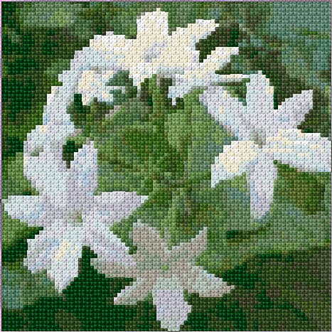 Jasmine free cross-stitch pattern