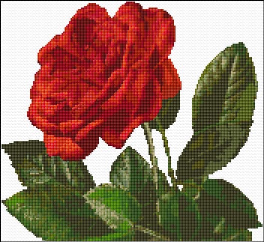 Red Rose free cross-stitch pattern