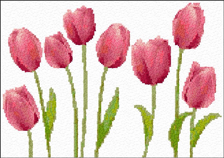 Tulips free cross-stitch pattern