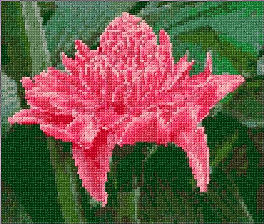 Ginger Flower free cross-stitch pattern