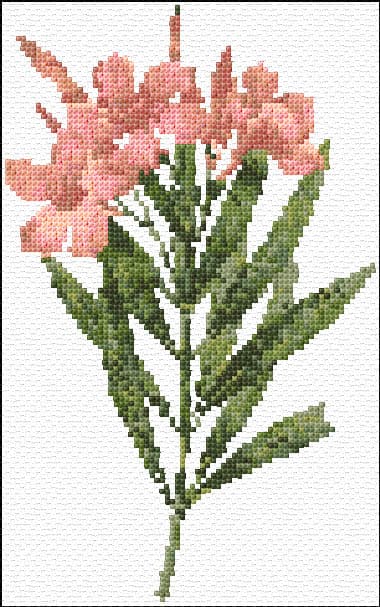 Pink Flowers free cross-stitch pattern
