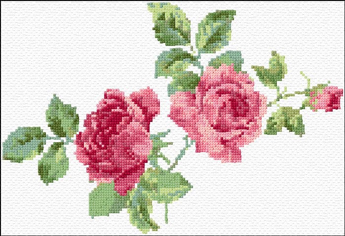 Roses free cross-stitch pattern