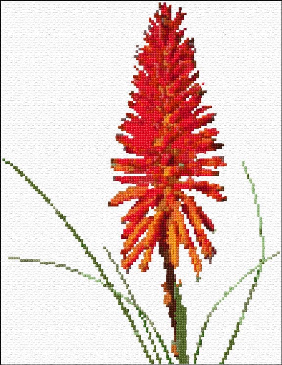 Aloe Vera Flower free cross-stitch pattern