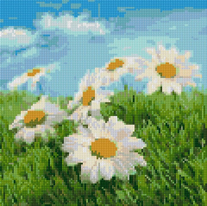 Camomiles free cross-stitch pattern