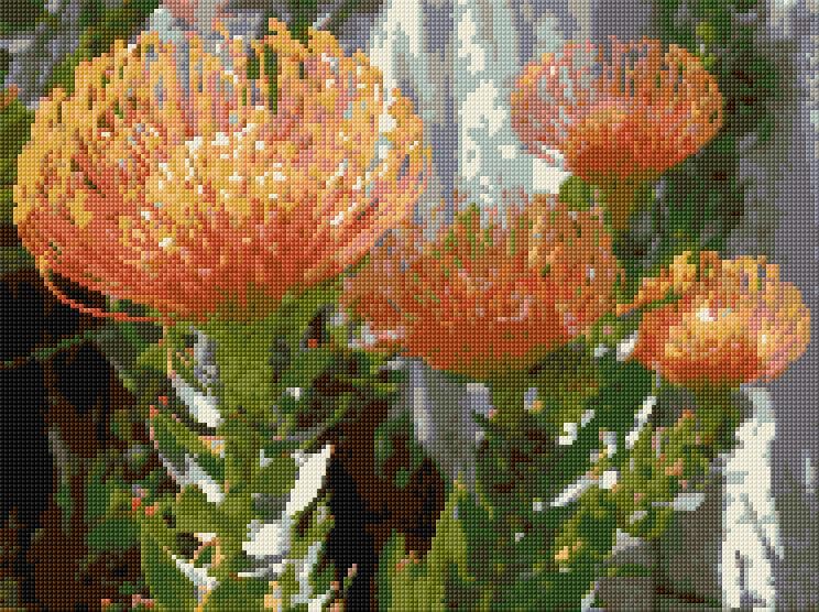 Protea free cross-stitch pattern