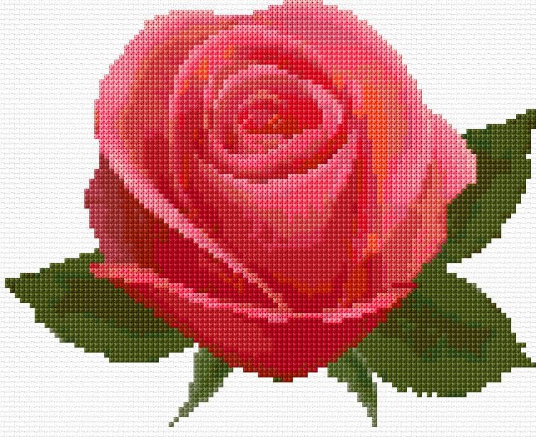 Rose free cross-stitch pattern