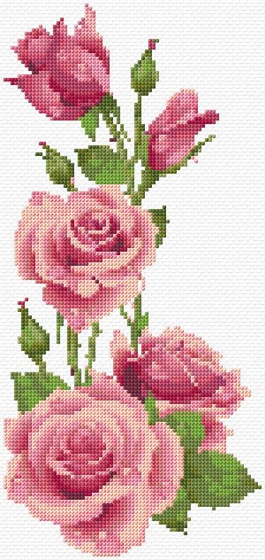 Roses free cross-stitch pattern