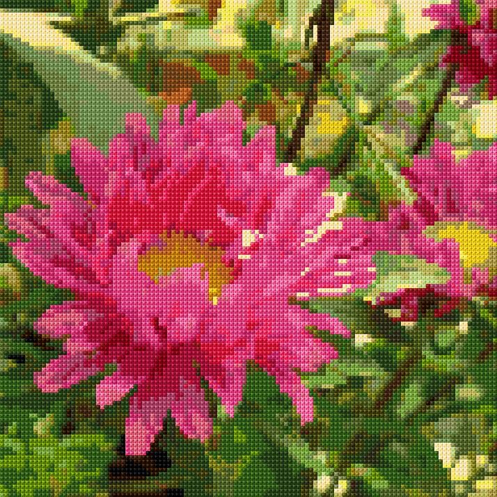 Daisy free cross-stitch pattern