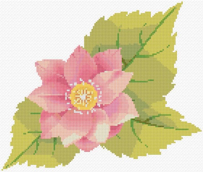 Flower free cross-stitch pattern