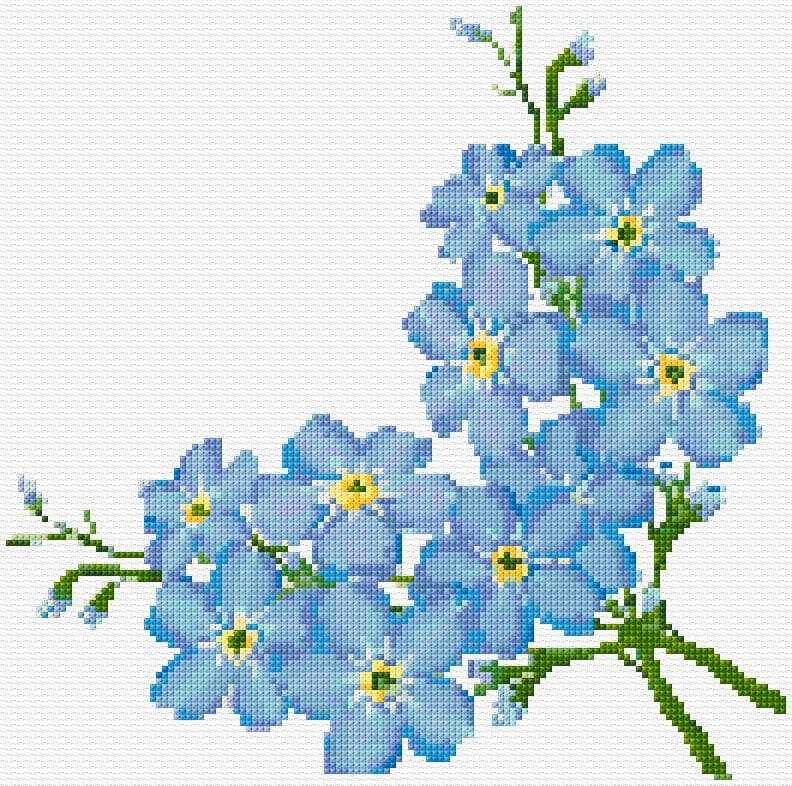 Forget-Me-Not free cross-stitch pattern