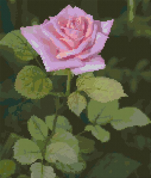 Pink Rose free cross-stitch pattern