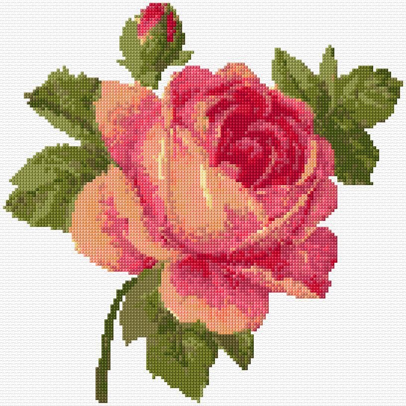 Rose free cross-stitch pattern