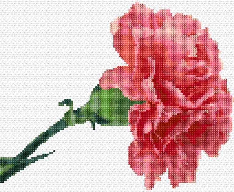 Pink Carnation free cross-stitch pattern