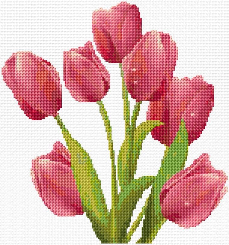 Tulips free cross-stitch pattern