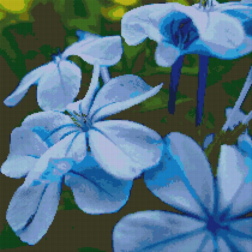 Blue Flowers free cross-stitch pattern