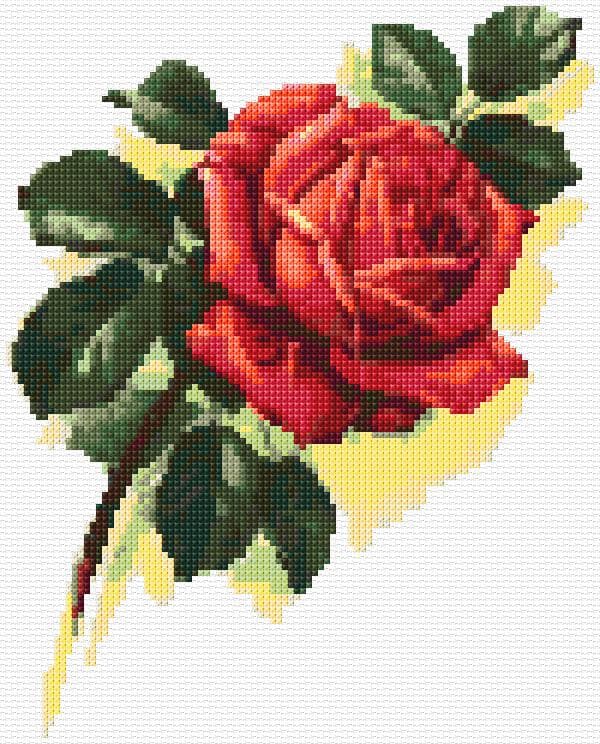 Rose free cross-stitch pattern