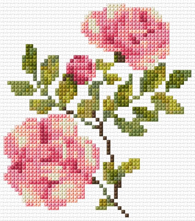 Roses free cross-stitch pattern