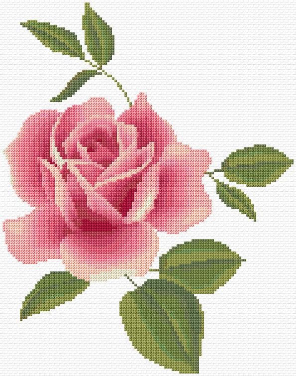 Rose free cross-stitch pattern