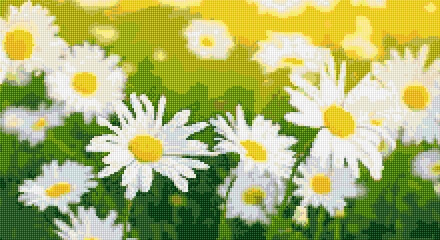 Camomiles free cross-stitch pattern