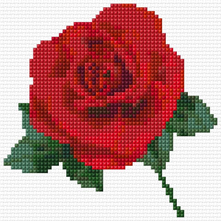 Rose free cross-stitch pattern