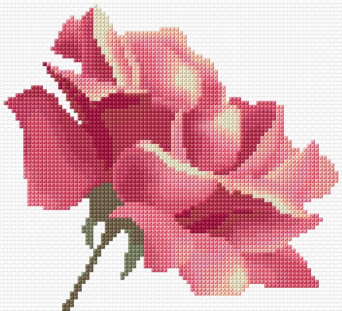 Rose free cross-stitch pattern