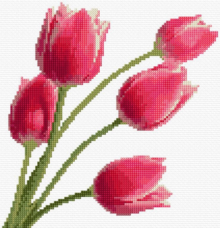 Tulips free cross-stitch pattern