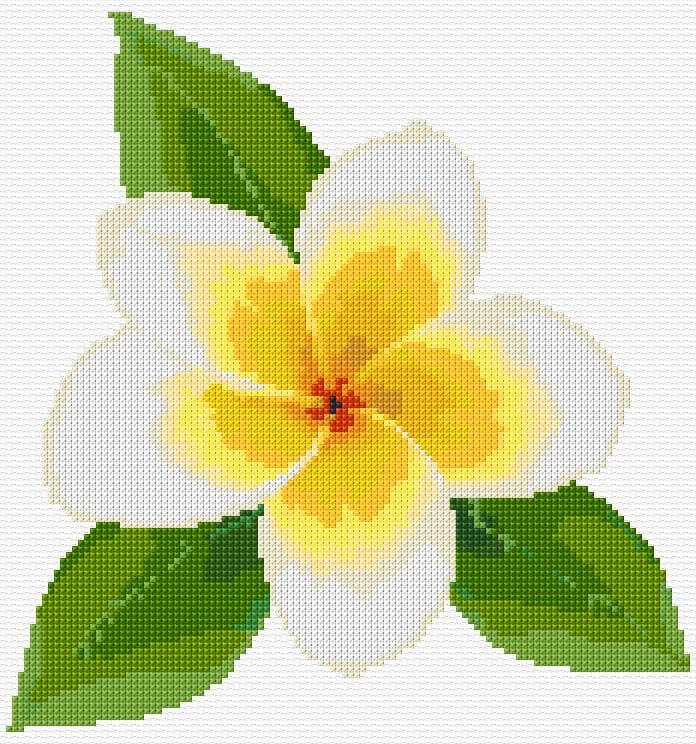 Plumeria free cross-stitch pattern