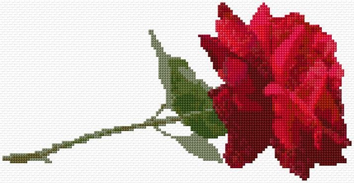 Rose free cross-stitch pattern