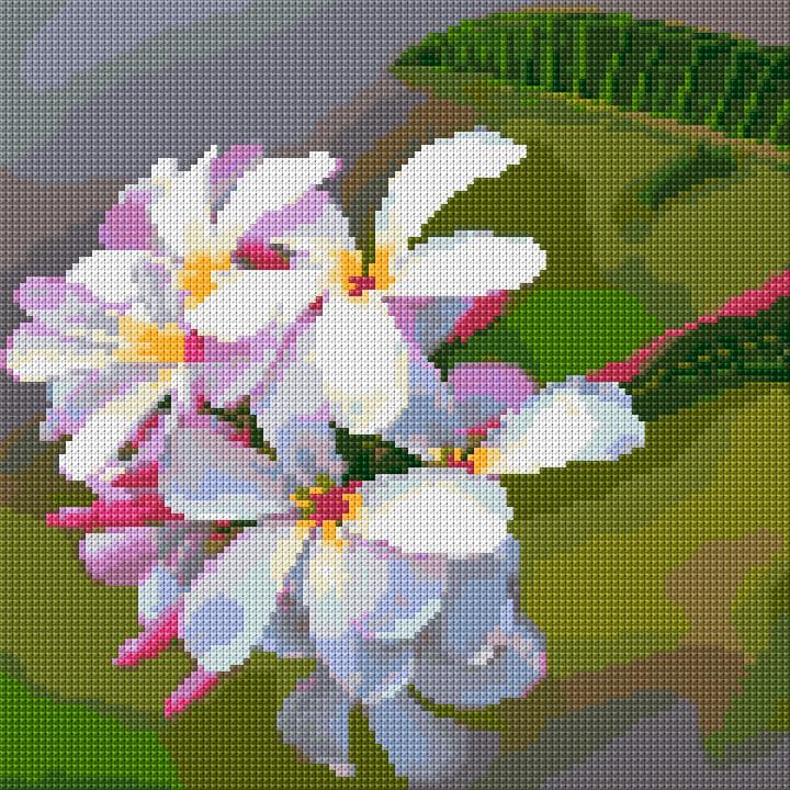 Plumeria free cross-stitch pattern