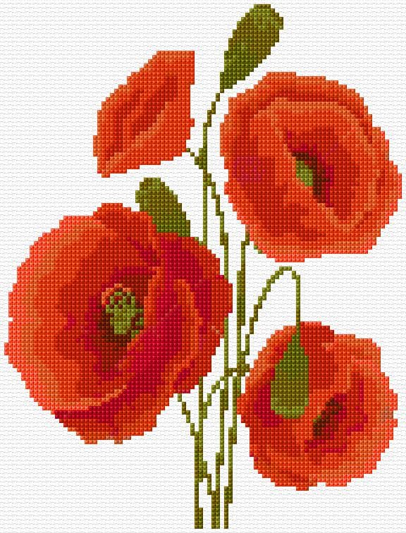 Poppy free cross-stitch pattern
