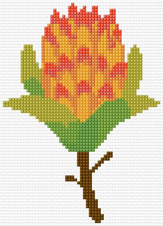 Protea free cross-stitch pattern