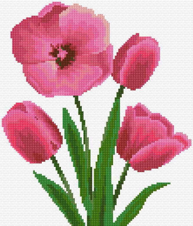 Tulips free cross-stitch pattern